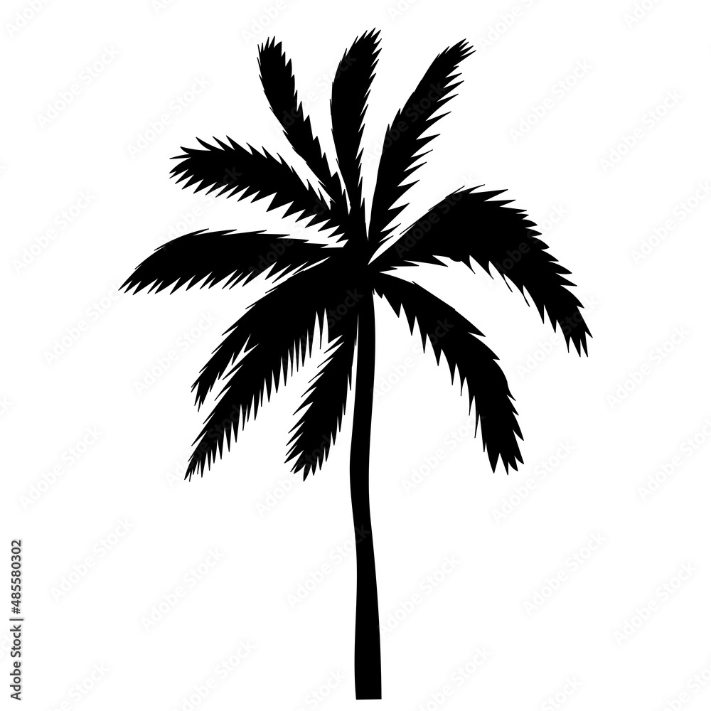 palm tree silhouette ,on white background, vector palm tree silhouette ,on white background, vector