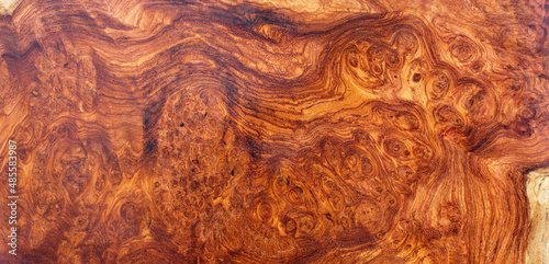 Natural Afzelia burl wood striped is a wooden beautiful pattern for background