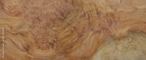 Natural Afzelia burl wood striped is a wooden beautiful pattern for background photo