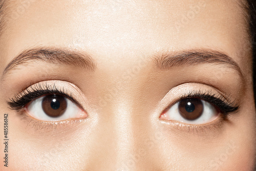 Close up of brown eyes of young woman looking at camera. Closeup of mixed race ethnicity female eyes with eyeliner . Make-up and antiaging skincare cosmetics advertising.