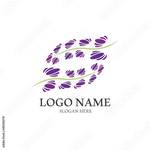 Fresh Lavender flower logo vector