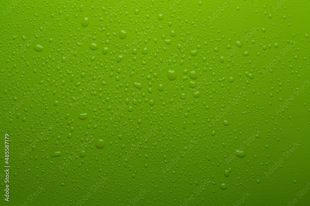 Water drops on green color  surface