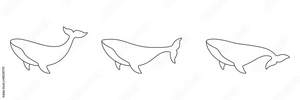 Whale line drawing art collection. Sperm whales linear animals set. Vector isolated on white. Whale line drawing art collection. Sperm whales linear animals set. Vector isolated on white.