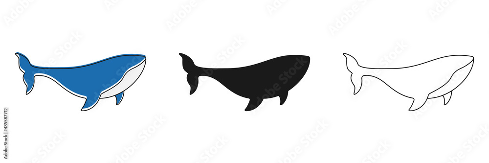 Whales animals collection. Sperm whales in different poses set. Group of ocean animals. Vector isolated on white.