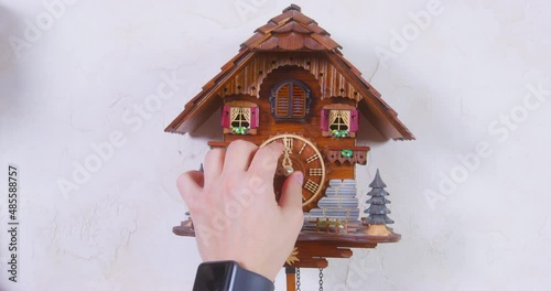 Person moves the hand of cuckoo clock to set the correct time or vice versa wrong time, because he wants to prank a friend, front view, close up. Vintage authentic pendulum clock on wall. photo