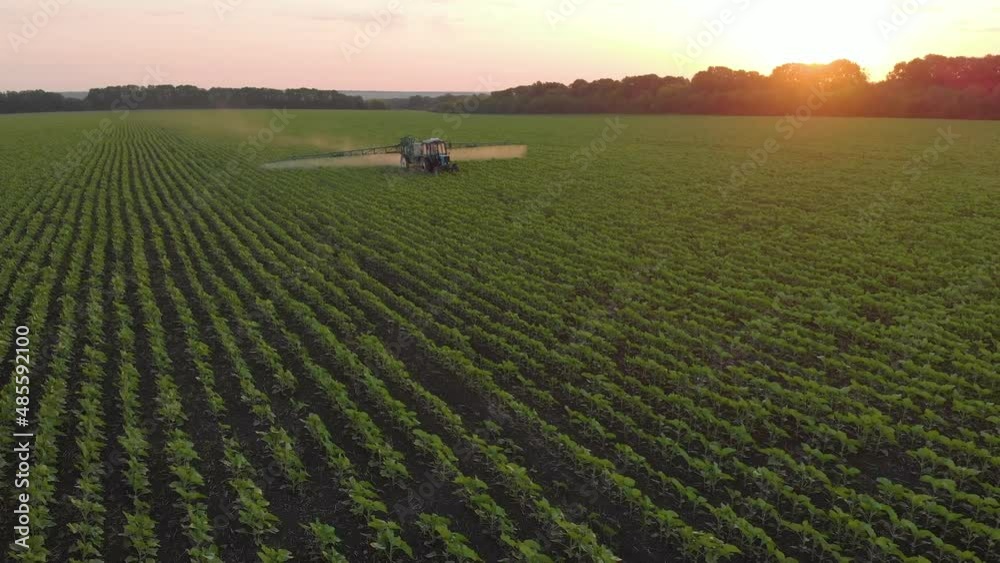 Aerial view of farming tractor spraying on field with sprayer, herbicides and pesticides at sunset. Farm machinery spraying insecticide to the green field, agricultural natural seasonal spring works. Aerial view of farming tractor spraying on field with sprayer, herbicides and pesticides at sunset. Farm machinery spraying insecticide to the green field, agricultural natural seasonal spring works.