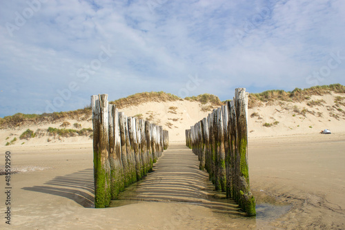 Wave breaker made of wooden stakes on the beach, Haamstede, Zeeland, Netherlands
