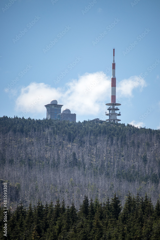 Obraz premium mountain clouds sky forest Brockengarten Brocken Harz Germany vertical