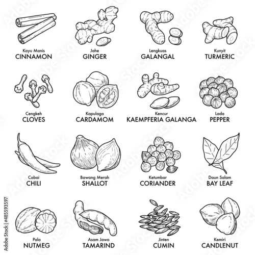 Indonesian traditional spices such as jahe, ketumbar, lengkuas, pala, cengkeh, kayu manis, kunyit, kemiri, kencur.