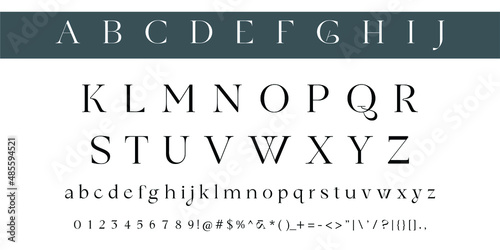 Alphabet letters font set. Classic patterns, custom logos, poster. Typographic classic style font, vector illustration
