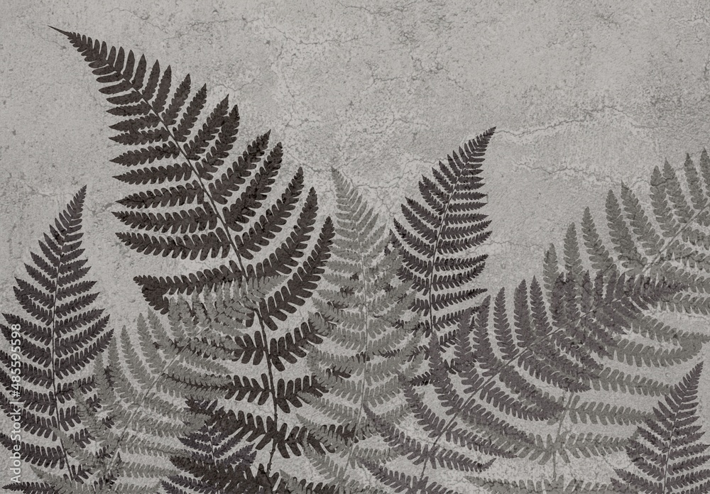 Fototapeta Photo wallpapers for the interior. Mural for the walls. Tropical leaves. The decor is in the grunge style. Fern leaves.