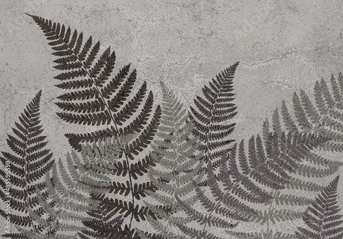 Photo wallpapers for the interior. Mural for the walls. Tropical leaves. The decor is in the grunge style. Fern leaves.