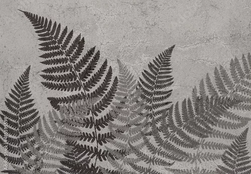 Obraz Photo wallpapers for the interior. Mural for the walls. Tropical leaves. The decor is in the grunge style. Fern leaves.