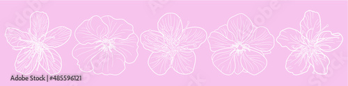 Set of five Sakura flowers outlines art in top view shot vectors against on pastel pink wallpaper