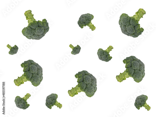 broccoli isolated on white background, raw healthy food background copy space horizontal