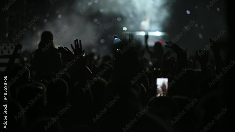 The crowd at the concert on a summer music festival