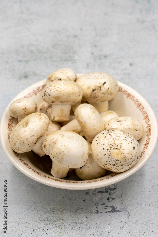 Mushrooms in a ceramic plate on a stone floor. Cultivated mushroom or portabello mushroom Mushrooms in a ceramic plate on a stone floor. Cultivated mushroom or portabello mushroom