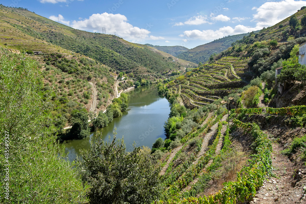 Douro Valley  river region of great production the wine in Portugal , Europe , world heritage site