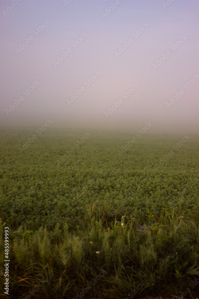 Panoramic view of the field sunrise in the morning Panoramic view of the field sunrise in the morning