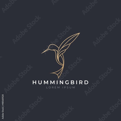 Hummingbird icon logo vector with modern luxury line gold color concept. Abstract humming bird with simple elegant style design vector.