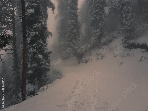 Nathia Gali, Abbottabad, Kpk- December, 25, 2021: located at the Centre of the Galyat range about an Elevation of 2,410 m  7907 ft), known for its scenic beauty, hiking tracks  pleasant weather. photo