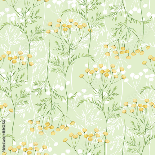 Watercolor botanical seamless pattern Delicate meadow wildflowers. Hand drawn tansy Floral print. For birthday card  invitation  happy easter  mother day  linen  wrapping paper  wallpaper  textile.