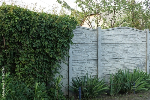 Wallpaper Mural gray white concrete wall fence overgrown with green vegetation and grass in the street Torontodigital.ca