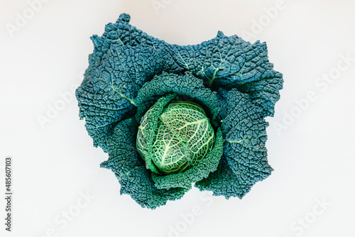 Kale cabbage on white background, top view