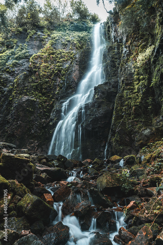 Waterfall in a mystical forest