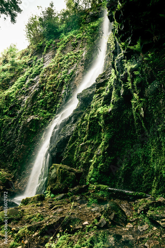 Waterfall in a mystical forest