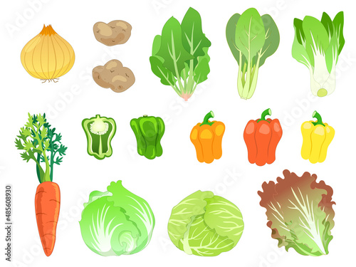 野菜のセット１