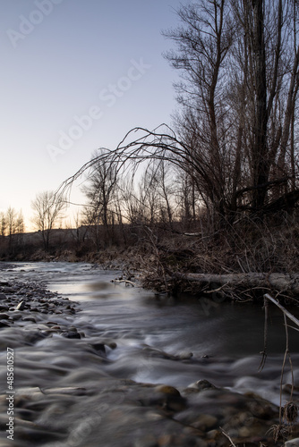 Winter river with flowing water little  village and trees in the background sunset light long exposure silky water effect  © Claudio