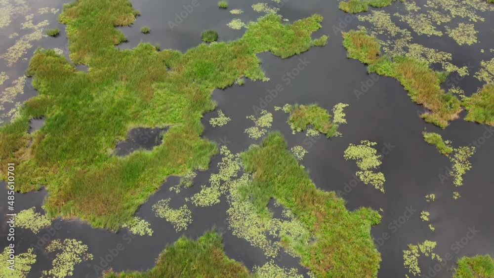 Aerial view of the small forest islands in a lake Aerial view of the small forest islands in a lake