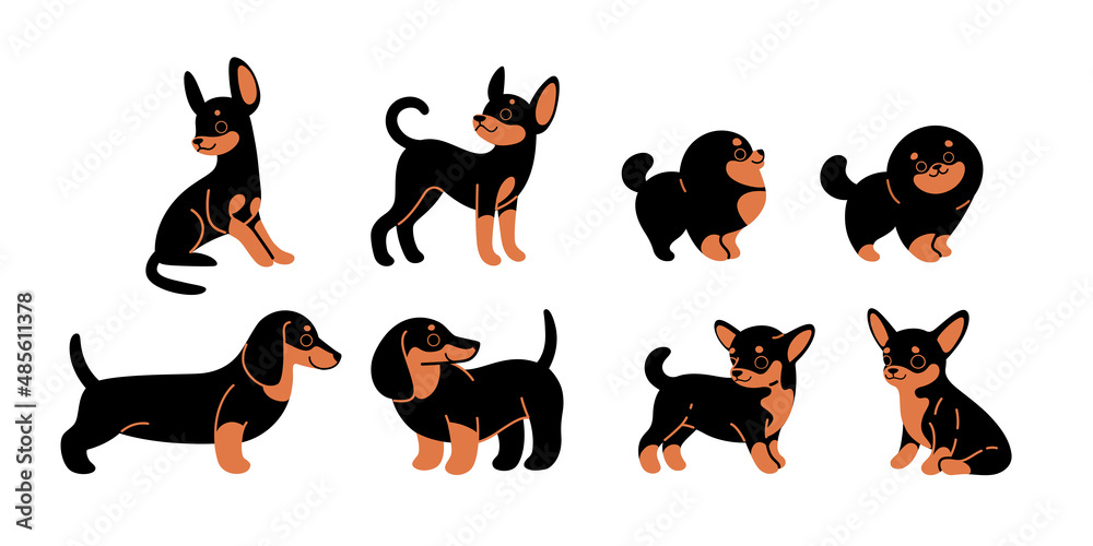 Dogs icon set. Dogs in various poses and action. Dachshund, spitz, chihuahua, toy terrier. Vector illustration for prints, clothing, packaging, stickers.