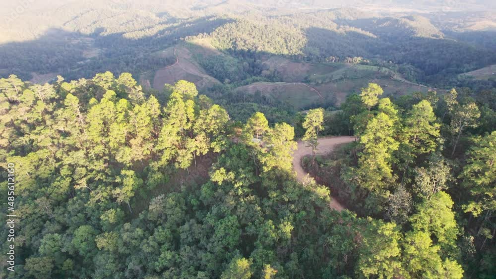 Aerial view of exploring the tropical rainforest with mountain peak in national park at evening