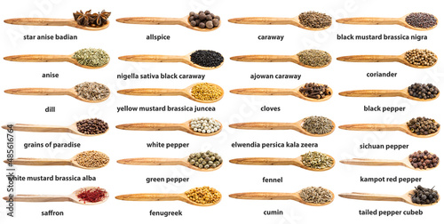 Valokuvatapetti set of various spices in wooden spoon with names