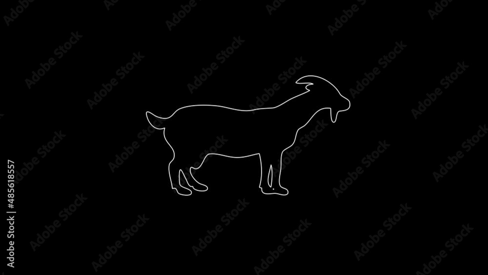 white linear goat silhouette. the picture appears and disappears on a black background. white linear goat silhouette. the picture appears and disappears on a black background.