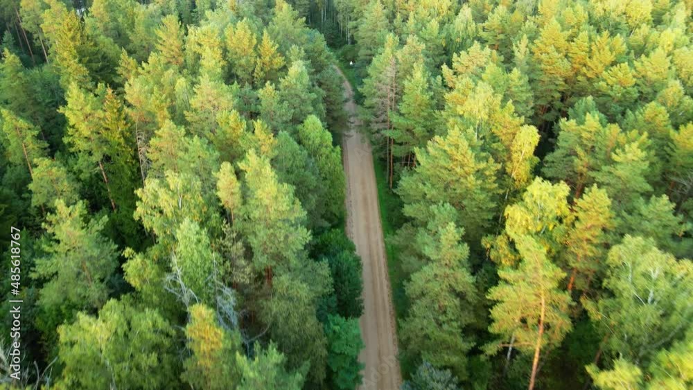 Autumn Forest Aerial Top Down Field Forest View. Drone flies along the road. Autumn Forest Aerial Top Down Field Forest View. Drone flies along the road.