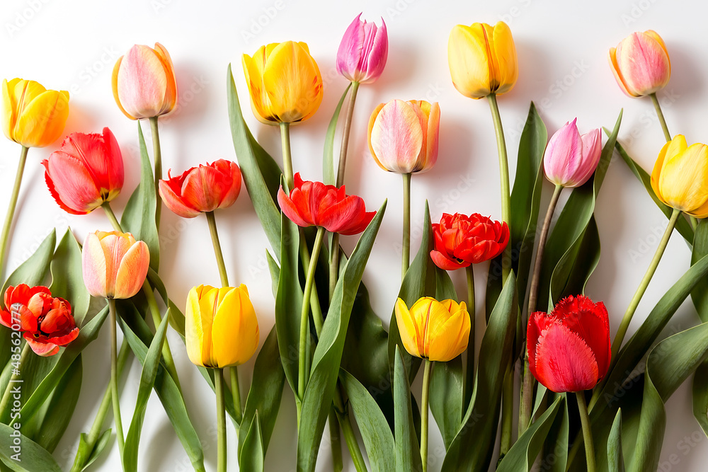 A bouquet of tulips of different colors on a white background.