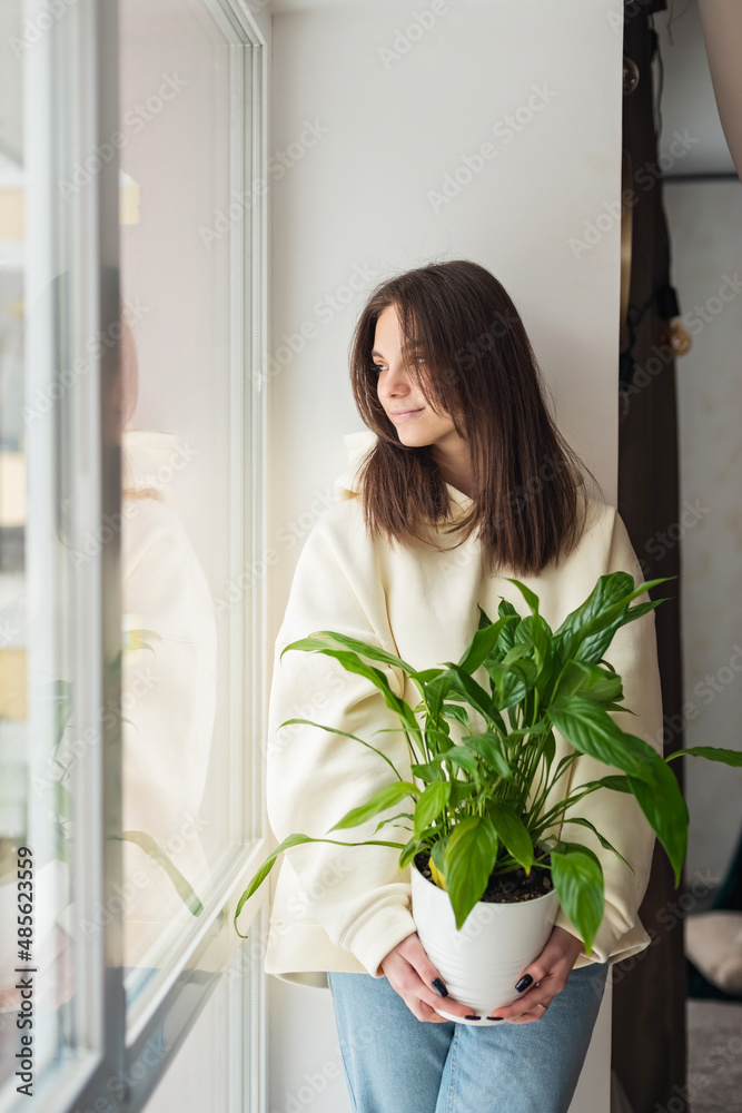 Beautiful young caucasian woman holding a home plant Spathiphyllum in a pot. Gardening, hobby. Soft selective focus. Beautiful young caucasian woman holding a home plant Spathiphyllum in a pot. Gardening, hobby. Soft selective focus.