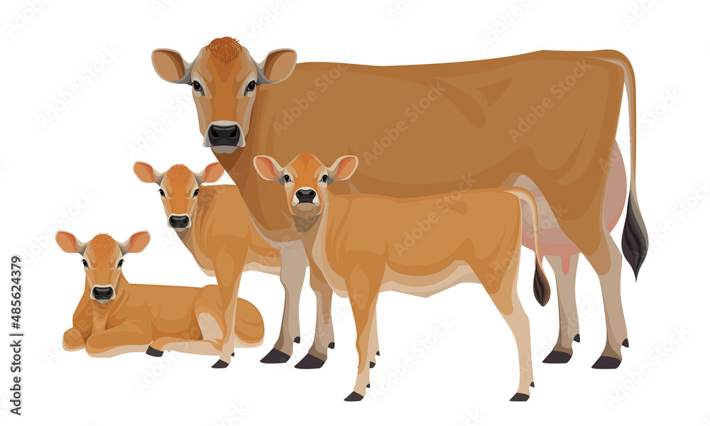Fototapeta premium Cow Jersey with Calf - The Best Milk Cattle Breeds. Farm animals. Vector Illustration.