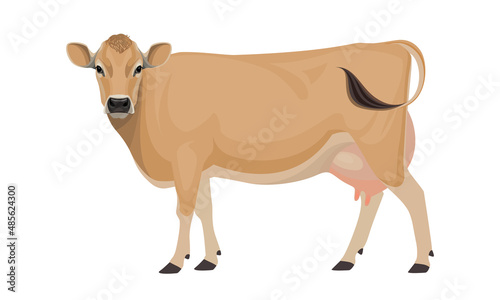 Cow Jersey - The Best Milk Cattle Breeds. Farm animals. Vector Illustration.