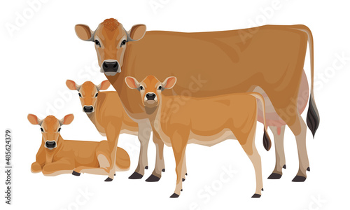 Cow Jersey with Calf - The Best Milk Cattle Breeds. Farm animals. Vector Illustration.