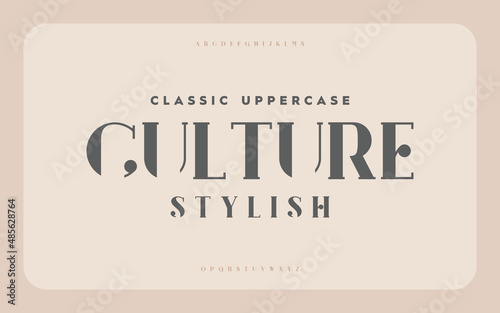 Vintage and classic alphabet font set design. Vector illustration typeface. Decorative serif fonts collection. Ligature collective designs.