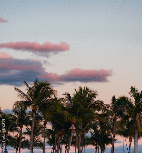 sky clouds palms tropical views miami