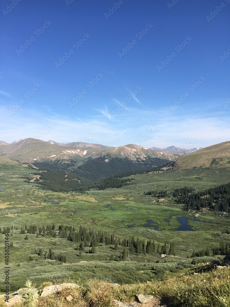 Colorado Mountain Fields and Forests with Green Grass, Flowers and Blue Sky