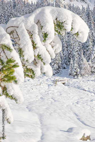 ponticello avvolto in un atmosfera invernale magica, Valmalenco, Lombardia, Italia photo