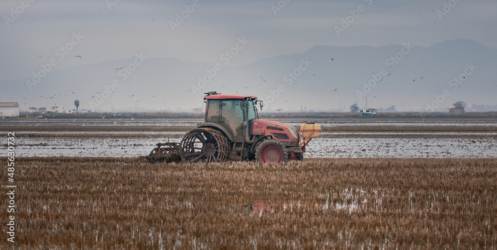 Fototapeta premium Tractor en la albufera de Valencia