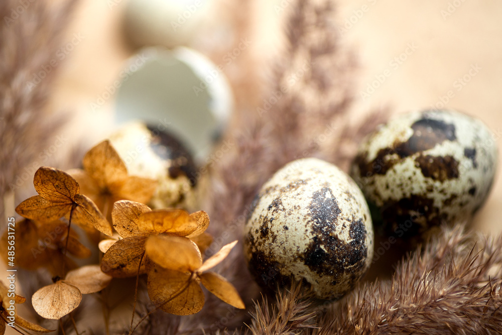 Happy easter composition with small quail eggs and dried fluffy grass and hydrangea flowers on craft paper surface Happy easter composition with small quail eggs and dried fluffy grass and hydrangea flowers on craft paper surface