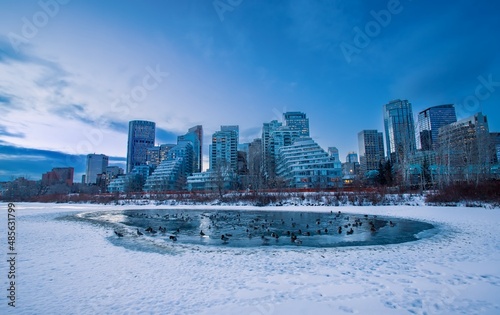 Blue Sky Over A Downtown Calgary Winter Park © Lisa